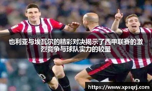 星空.综合体育(中国)官方网站
